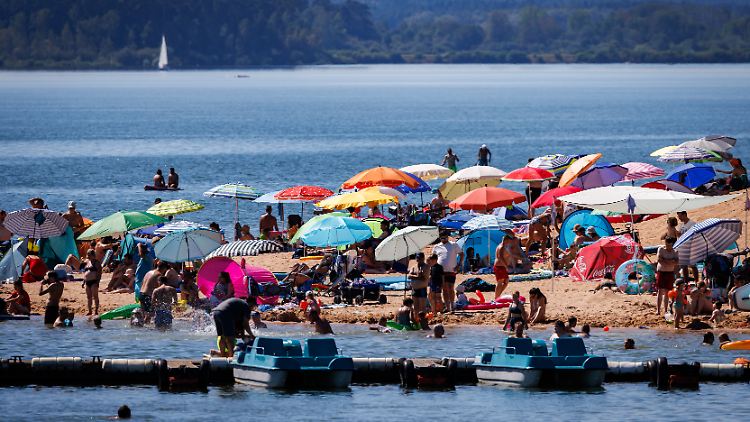 Der Brombachsee südlich von Nürnberg. Was den Wels so aggressiv gemacht hat, ist unklar. 