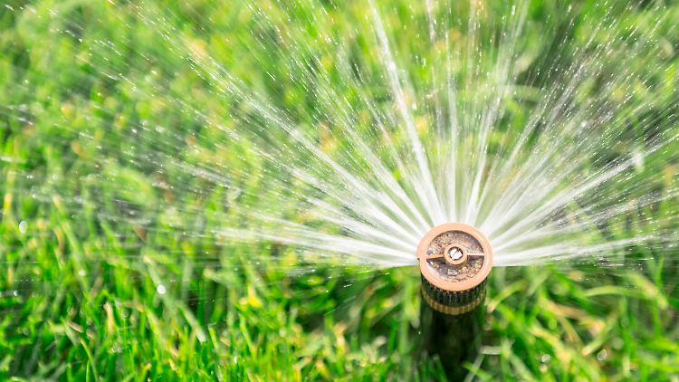 Ein sattgrüner Rasen braucht nicht viel – nur das richtige Timing, clevere Technik und ein bisschen Know-how.