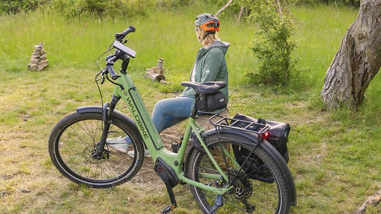 Nirgendwo auf dem Kontinent werden so viele E-Bikes verkauft wie in Deutschland.