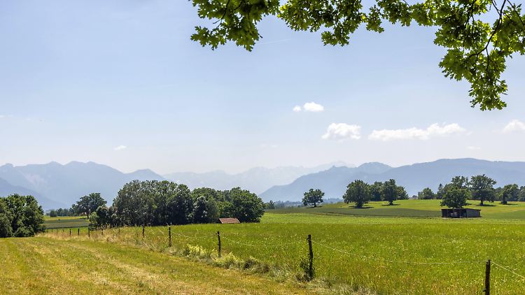 35 oder 36 Grad: Ein Omen für den bevorstehenden Hochsommer?