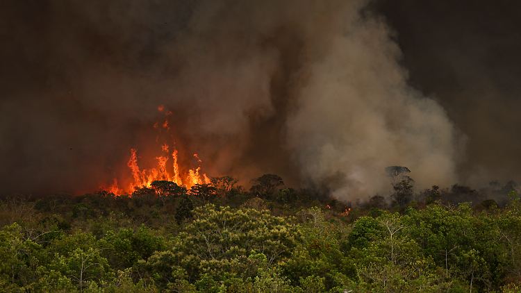 Das Ausmaß der Waldbrände hat laut einer Initiative auch mit anhaltenden Dürre-Perioden zu tun.