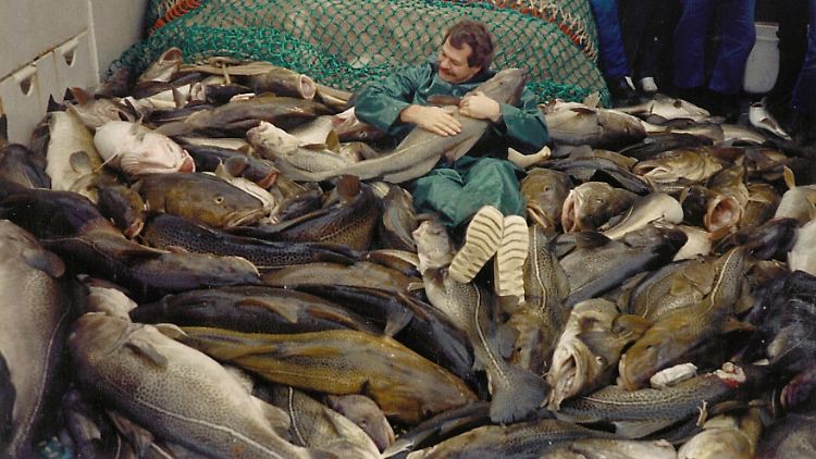 Der finnische Fischereibiologe Eero Kalevi Aro 1987 während einer Forschungsexpedition: Vor einigen Jahrzehnten wurde der Ostseedorsch noch über einen Meter lang.