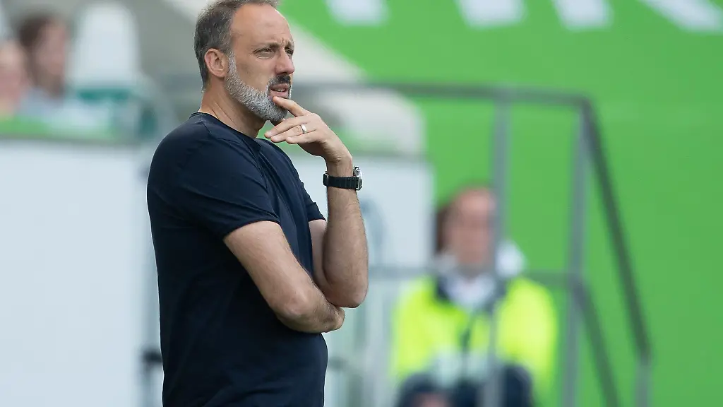 Hoffenheims-Trainer-Pellegrino-Matarazzo-steht-am-Spielfeldrand