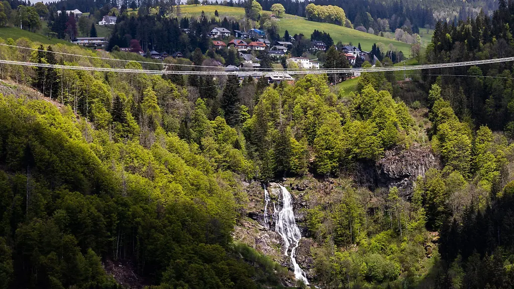 Eine-Haengebruecke-fuehrt-ueber-ein-Tal-nahe-Todtnauberg-waehrend-darunter-Wasser-die-Todtnauer-Wasserfaelle-zu-sehen-sind