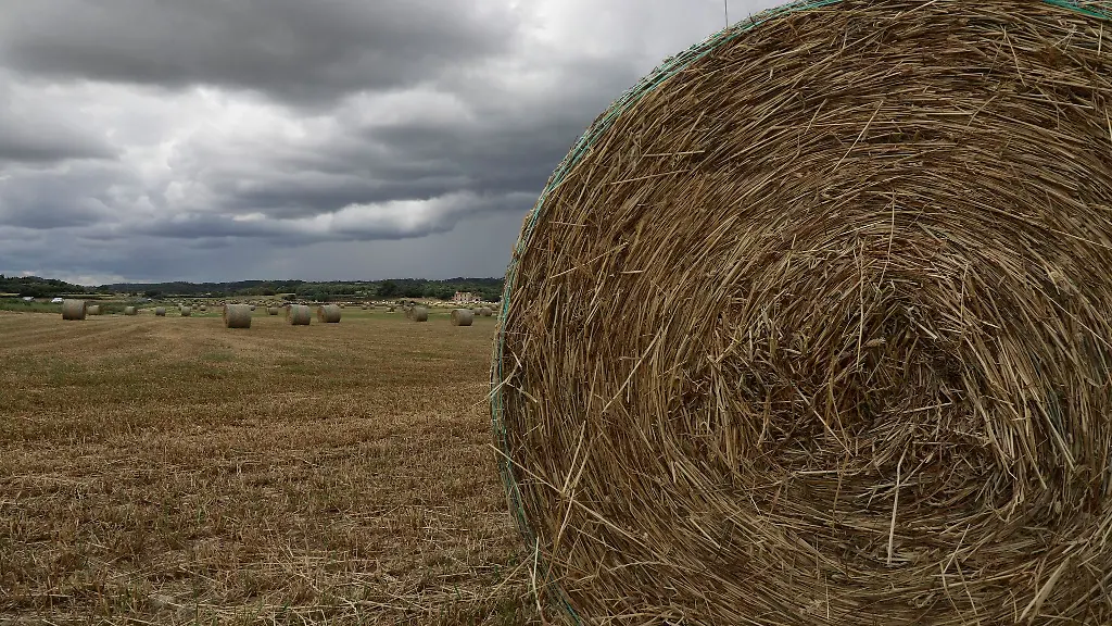 Rundballen-aus-Stroh-liegen-auf-einem-Feld-an-einem-bewoelkten-Tag