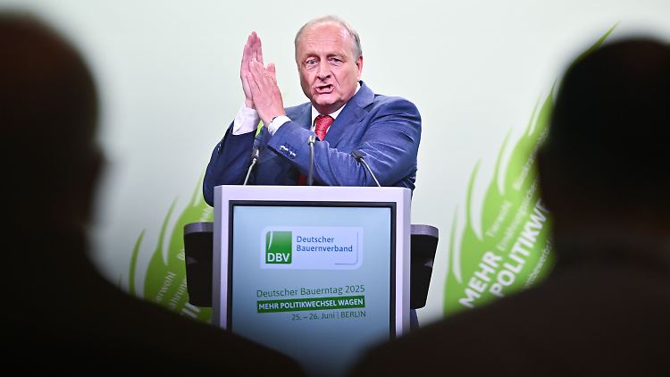 Rukwied kritisiert das künftige staatliche Tierhaltungslogo für Fleisch, dessen Einführung auf 2026 verschoben werden soll.