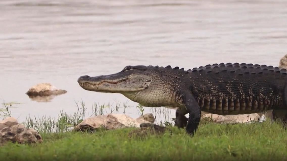 florida.jpg