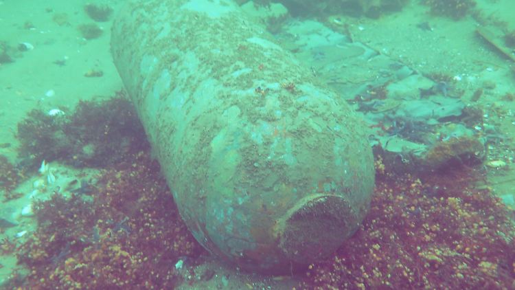 1,6 Millionen Tonnen Weltkriegsmunition verrotten in der deutschen Nord- und Ostsee, so wie dieser Torpedokopf.