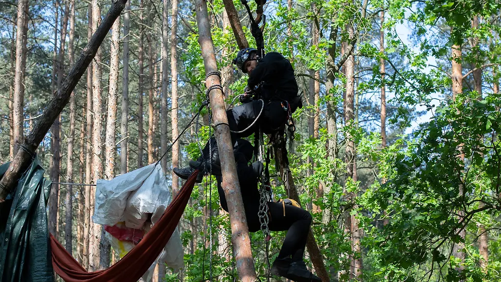Ein-Aktivist-wird-von-einem-Polizeibeamten-oben-aus-einem-Baumhaus-in-einem-Waldstueck-in-der-Wuhlheide-geholt
