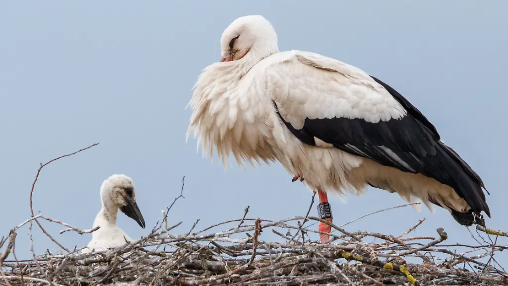 21b5654a706061d7ec3df0c0452c6895