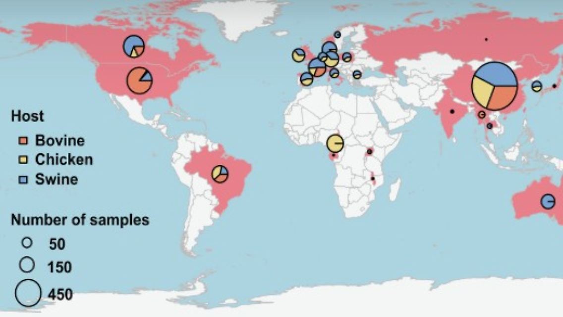 Geografische Verteilung von 4017 Viehdünger-Metagenomen.