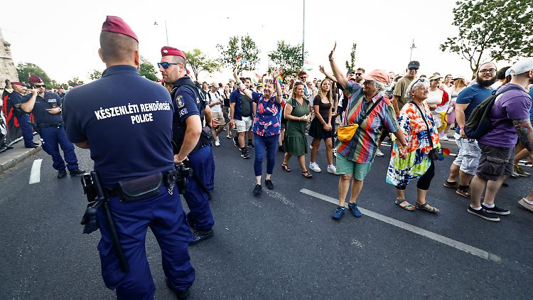 Einige wenige Polizisten konnten es nicht mit dieser Menge an Protestierenden aufnehmen.