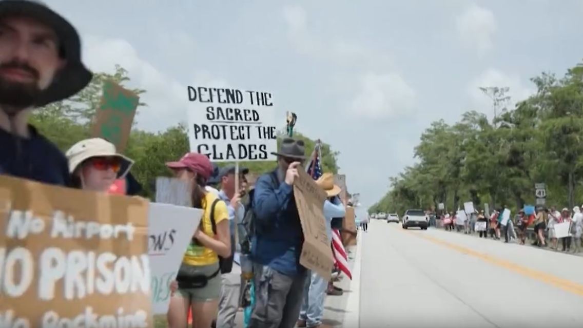 Everglades.jpg