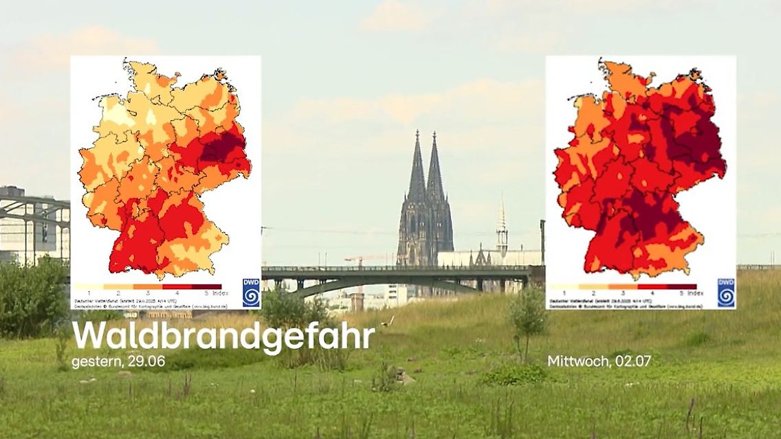 Waldbrandgefahr.jpg