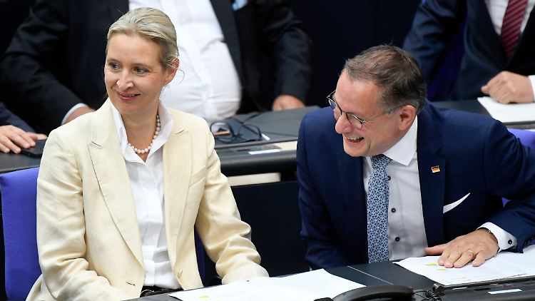Freude bei Alice Weidel und Tino Chrupalla.