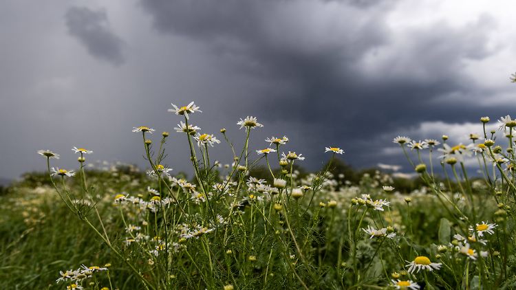 Die Hitze weicht vielerorts teilweise heftigen Unwettern.