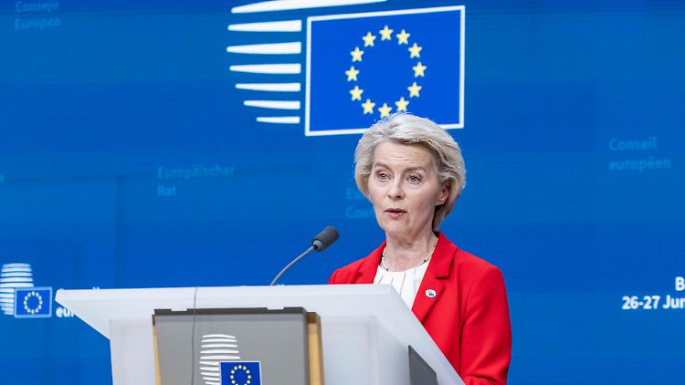 Ursula von der Leyen ist seit 2019 Präsidentin der EU-Kommission. 