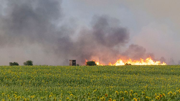 Flammen lodern in der Gohrischheide im Landkreis Meißen.