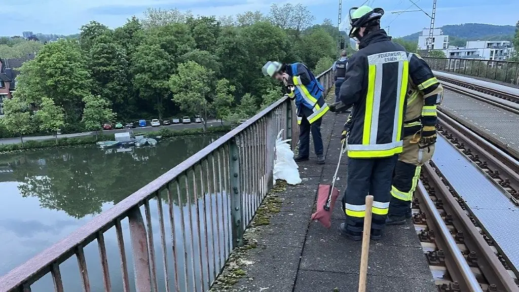 Einsatzkraefte-kuemmern-sich-um-einen-Schwan-der-im-Gelaender-einer-Eisenbahnbruecke-in-Essen-steckengeblieben-ist