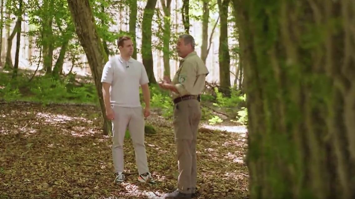 ForstWaldbrand.jpg