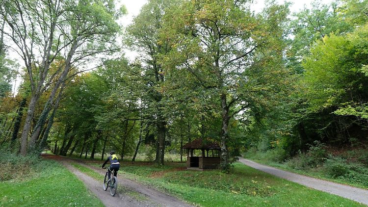 Allein auf weiter Flur? Nicht immer: Auch auf Wirtschaftswegen kann es weitere Verkehrsteilnehmer geben, auf die Rücksicht zu nehmen ist.