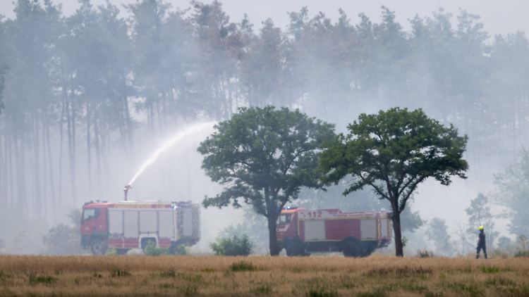 In der Gohrischheide im Landkreis Meißen bewegen sich die Brandherde aufeinander zu. 