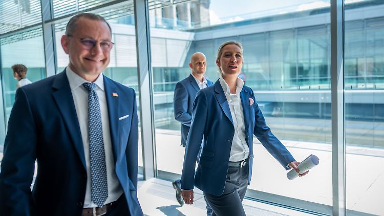 Die AfD schwächt ihre Wortwahl ab.