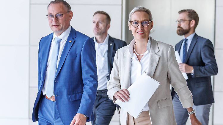 Dem Kanzler wirft die AfD-Fraktion Wahlbetrug vor.