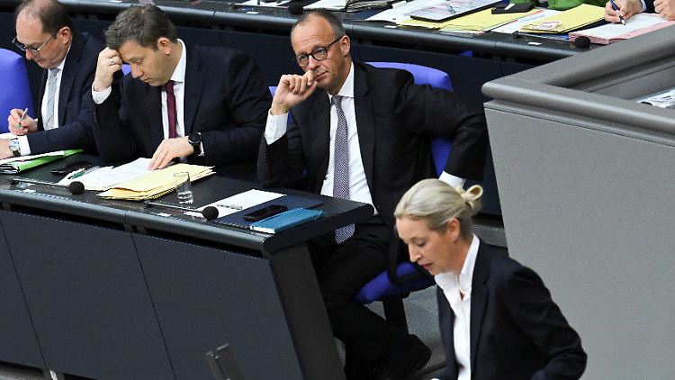 Merz hat Vizekanzler Klingbeil versprochen, nicht einmal mehr eine versehentliche Mehrheit mit der AfD zu riskieren.
