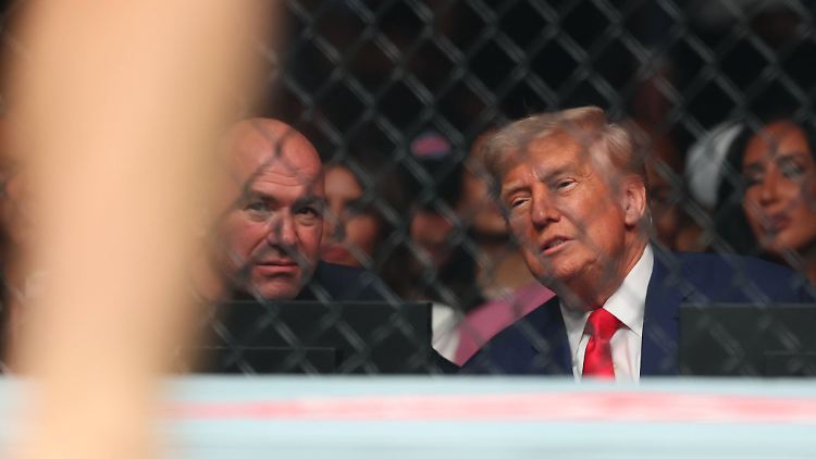 Ist regelmäßig bei UFC-Events zu Gast: Donald Trump.