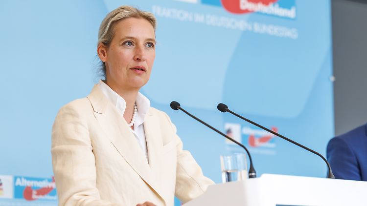 Der Unions-Kandidat mache auf sie "einen vernünftigen Eindruck", sagte AfD-Fraktionschefin Weidel.