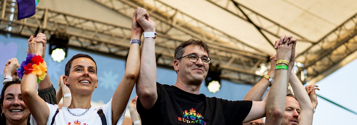 533495036.jpg