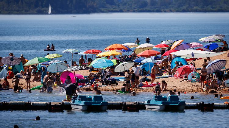 Am Brombachsee in Bayern lösten die Wels-Angriffe einen Polizeieinsatz aus.