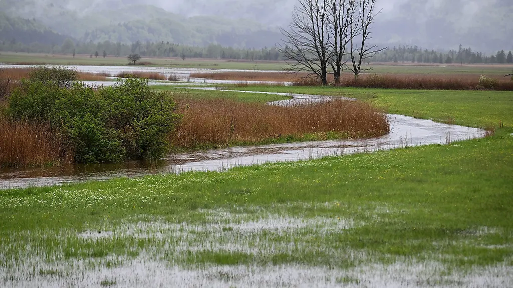 Wasser-steht-nach-starken-Regenfaellen-auf-den-Wiesen-neben-einem-Bachlauf