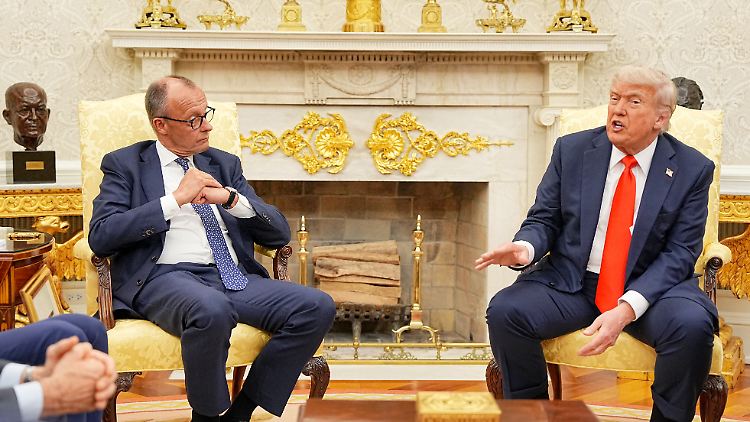 Merz bei seinem Besuch im Weißen Haus mit Trump Anfang Juni.  