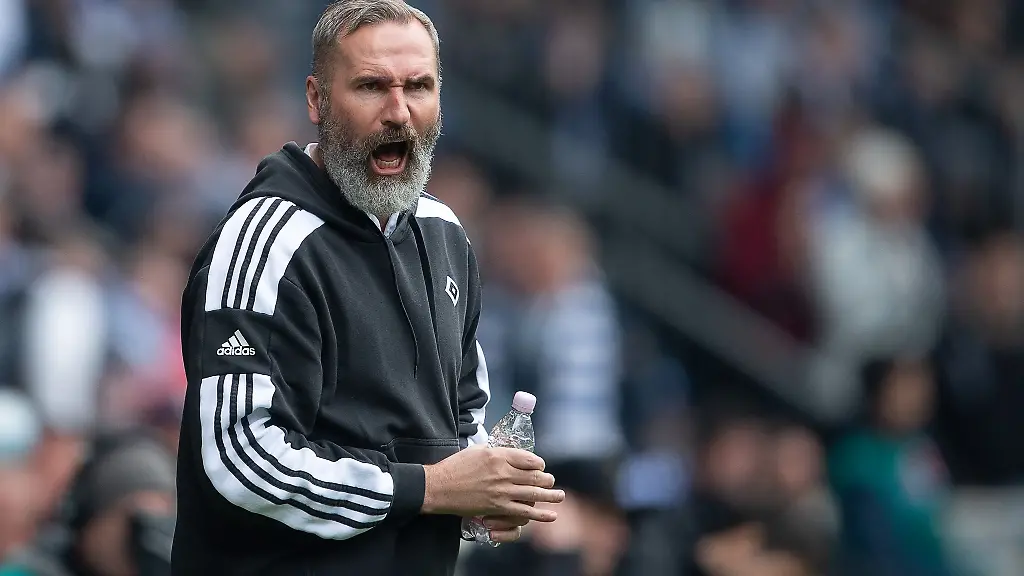 Hamburgs-Trainer-Tim-Walter-gestikuliert