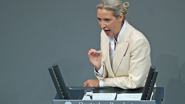 Kritik immer gerne, auch an der Zuwanderungspolitik - aber Hass und Hetze? Nö.