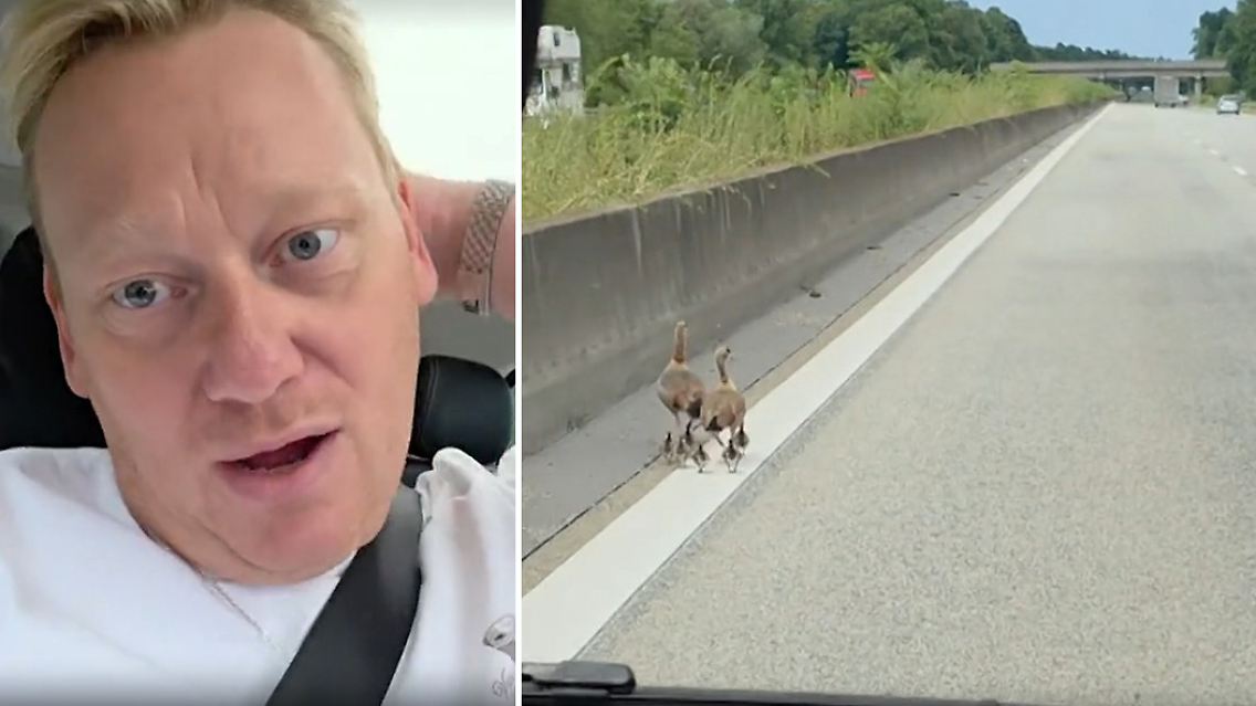 Gänseknossi.jpg
