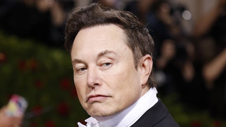 Elon Musk ist von Donald Trumps Verbündeten zum politischen Rivalen geworden.
