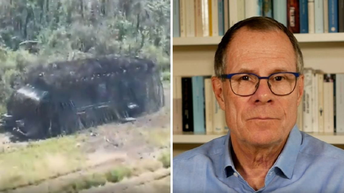 WiegoldSchildkrötenpanzer.jpg