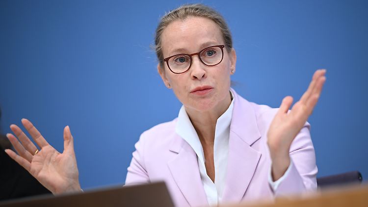Die SPD will an der Kandidatur von Frauke Brosius-Gersdorf zur Richterin am Bundesverfassungsgericht festhalten. 