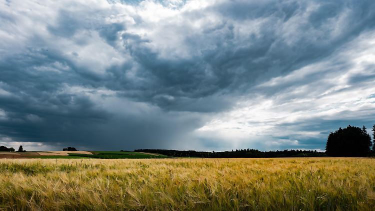 Trotz Regenwolken gibt es einen Lichtblick am Horizont.