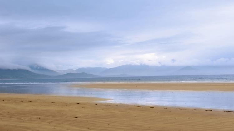 Im kommenden Jahr wollen die Absender der Flaschenpost nach Irland reisen.