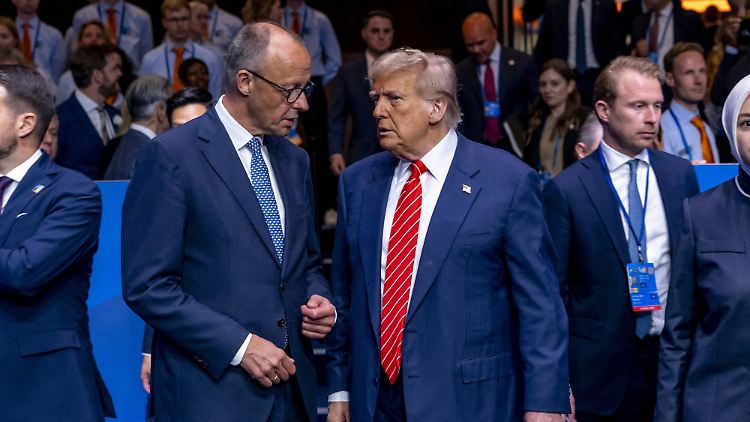 Merz im Gespräch mit Trump beim Nato-Gipfel in Den Haag Ende Juni. 