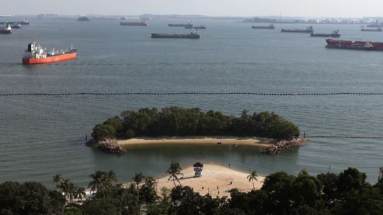 Vor der Insel Sentosa nahe dem Äquator wird geschwommen.