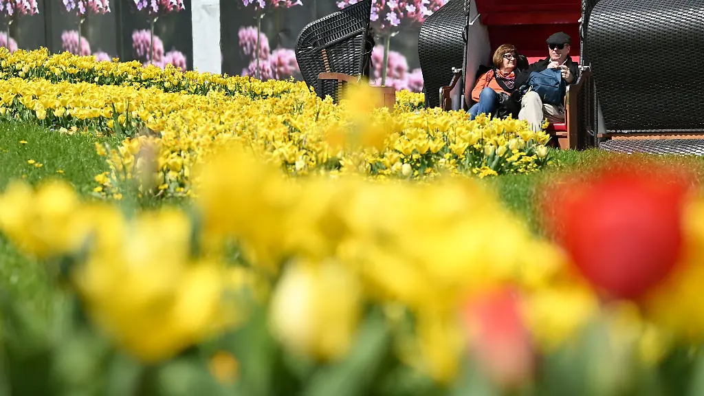 Besucher-der-Landesgartenschau-in-Fulda-sitzen-in-einem-Strandkorb
