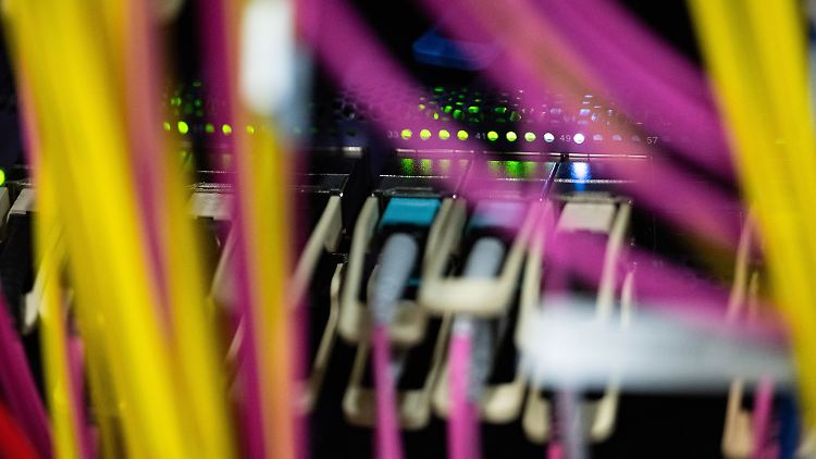 Oracle investiert im großen Stil in der Rhein-Main-Region.