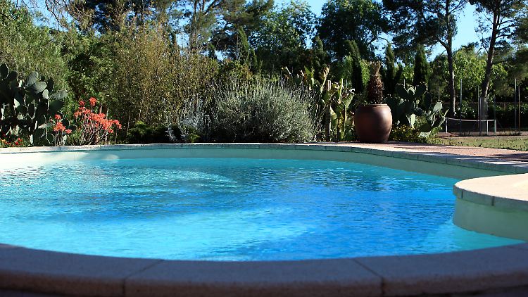 Ihr Auftraggeber tot im Pool - und das ist fast noch Evies kleinstes Problem.