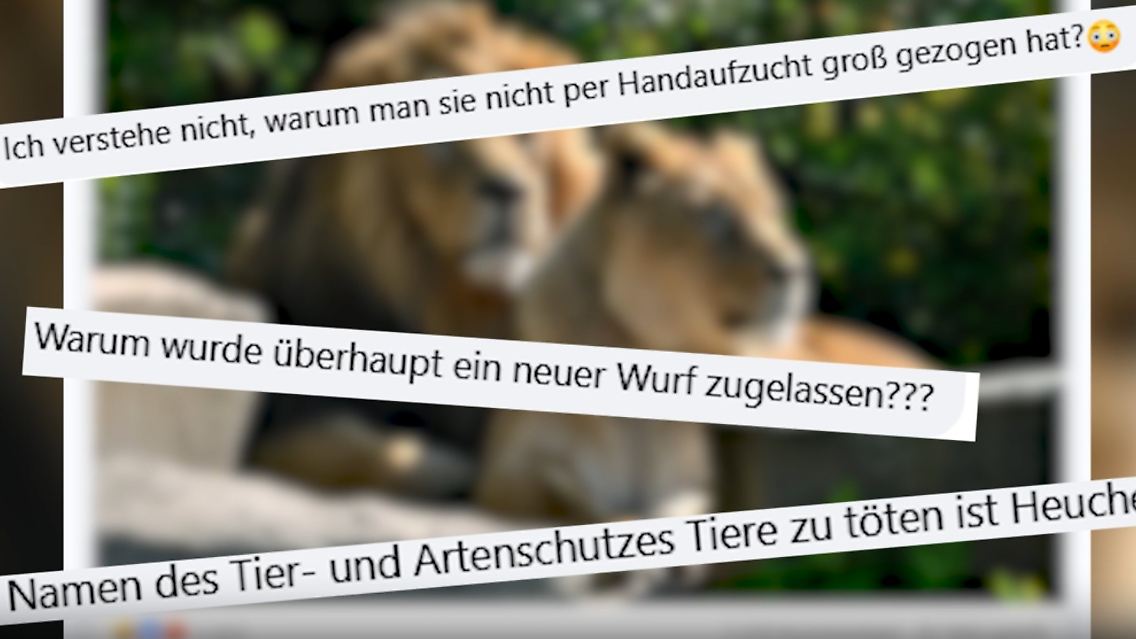 Zoo.jpg