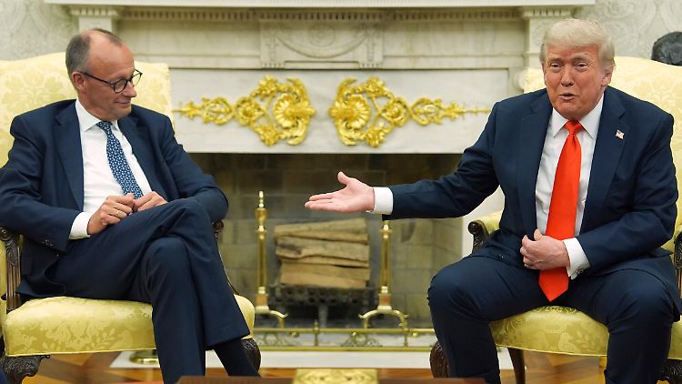 Ohne Trump will Merz keine globale Mindeststeuer.
